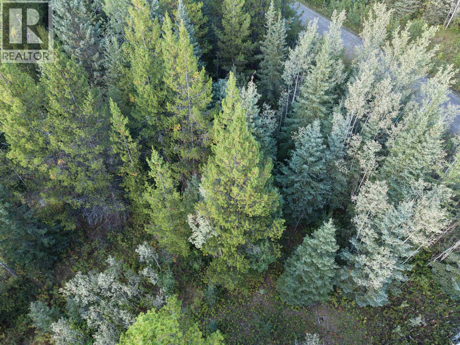 23512 Howells Road, Topley, British Columbia  V0J 2N0 - Photo 16 - R3159706