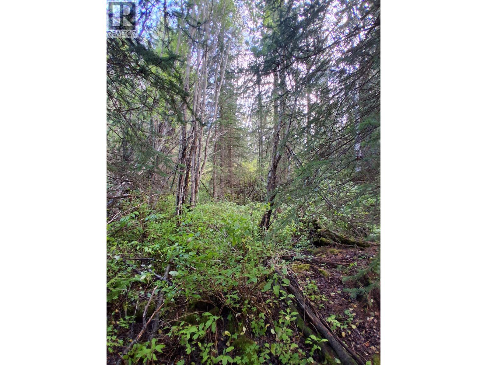 23512 Howells Road, Topley, British Columbia  V0J 2N0 - Photo 13 - R3159706
