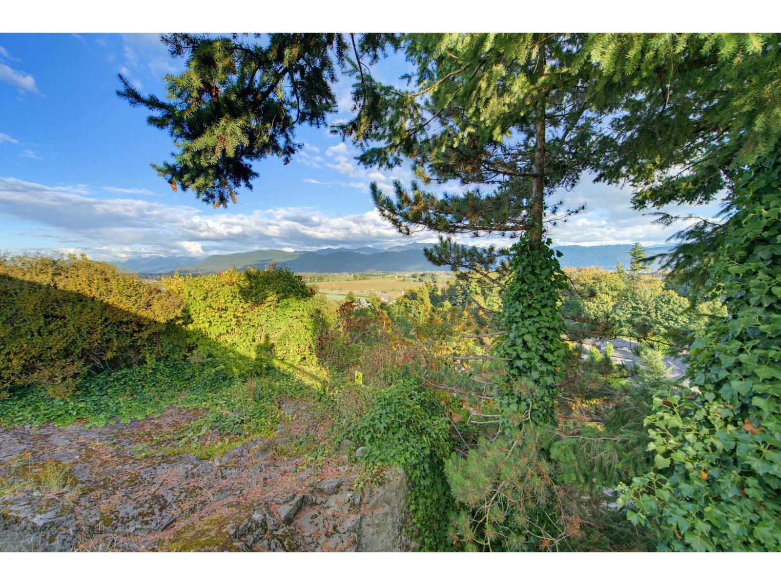 36042 Southridge Place, Abbotsford, British Columbia  V3G 1E2 - Photo 20 - R3161559