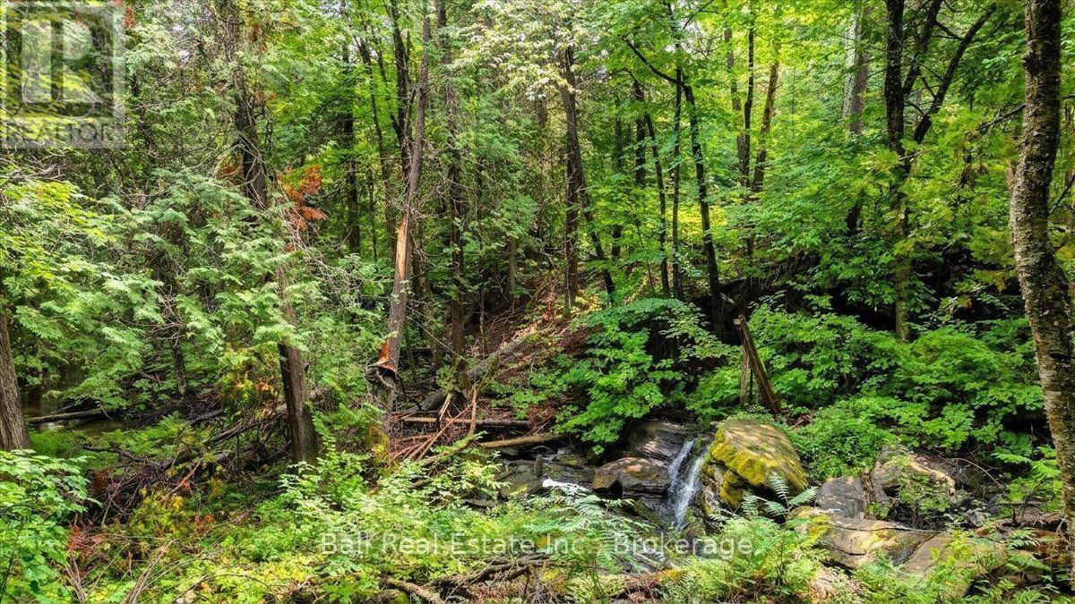 0 Clydesdale Road, North Kawartha, Ontario  K0L 1A0 - Photo 10 - X13609796