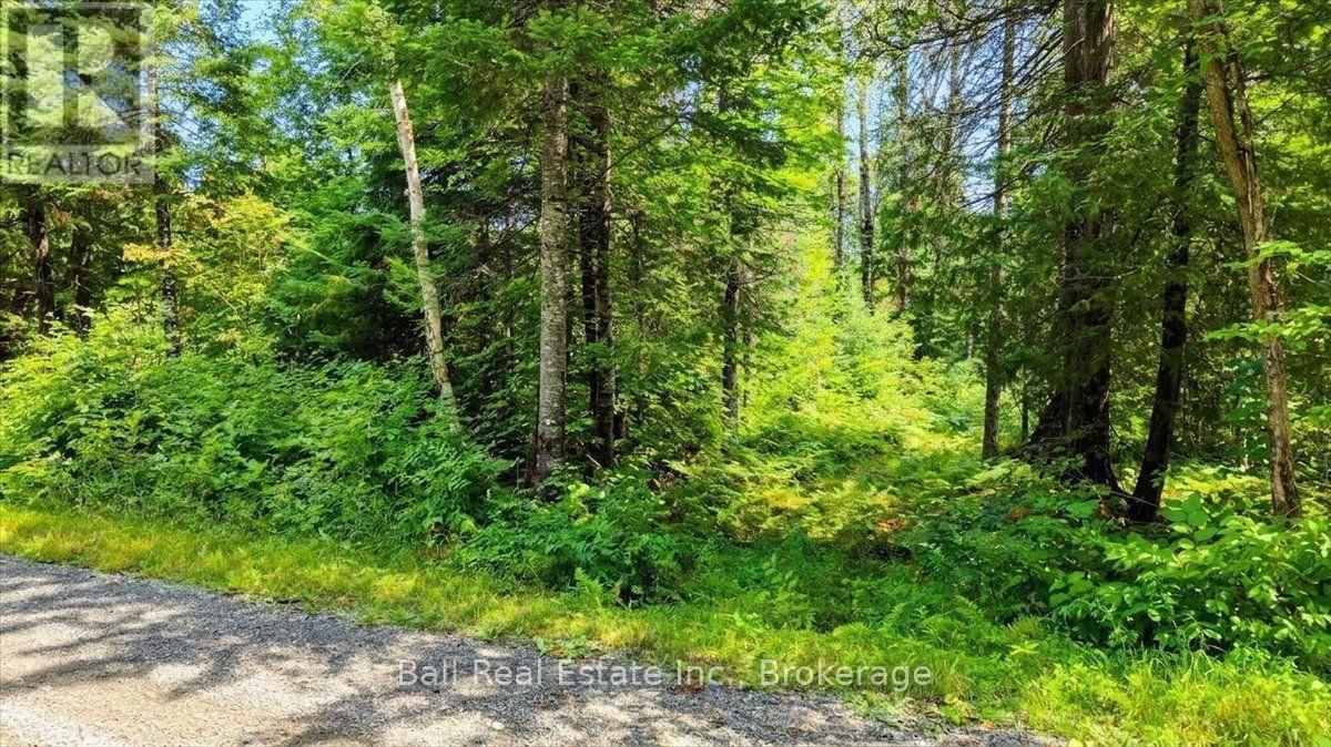 0 Clydesdale Road, North Kawartha, Ontario  K0L 1A0 - Photo 12 - X13609796