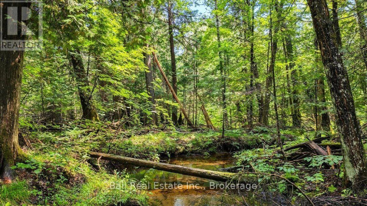 0 Clydesdale Road, North Kawartha, Ontario  K0L 1A0 - Photo 23 - X13609796