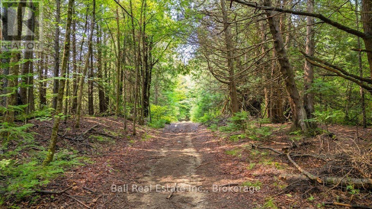 0 Clydesdale Road, North Kawartha, Ontario  K0L 1A0 - Photo 27 - X13609796