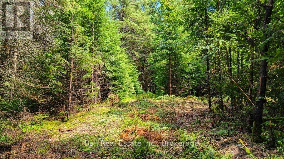 0 Clydesdale Road, North Kawartha, Ontario  K0L 1A0 - Photo 7 - X13609796