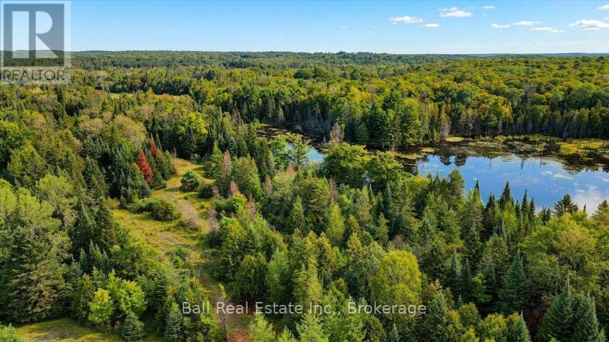 0 Clydesdale Road, North Kawartha, Ontario  K0L 1A0 - Photo 19 - X13609796