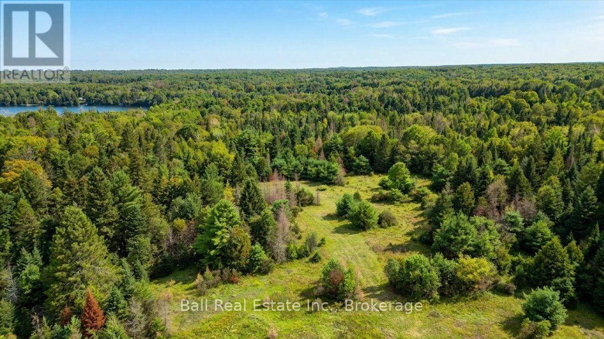0 Clydesdale Road, North Kawartha, Ontario  K0L 1A0 - Photo 20 - X13609796