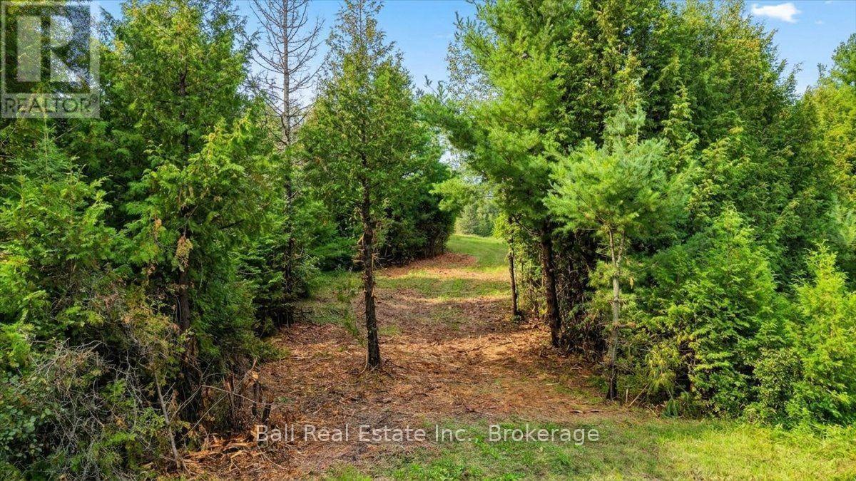 0 Clydesdale Road, North Kawartha, Ontario  K0L 1A0 - Photo 29 - X13609796
