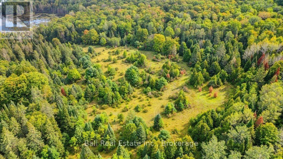 0 Clydesdale Road, North Kawartha, Ontario  K0L 1A0 - Photo 26 - X13609796