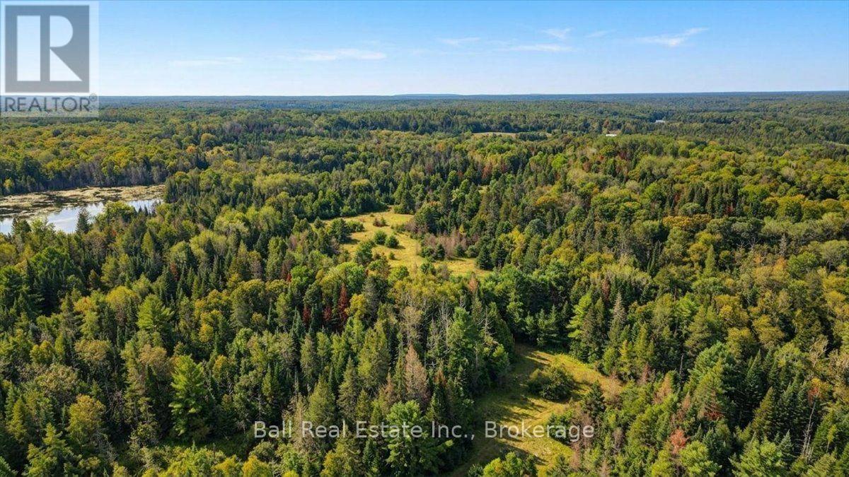 0 Clydesdale Road, North Kawartha, Ontario  K0L 1A0 - Photo 4 - X13609796
