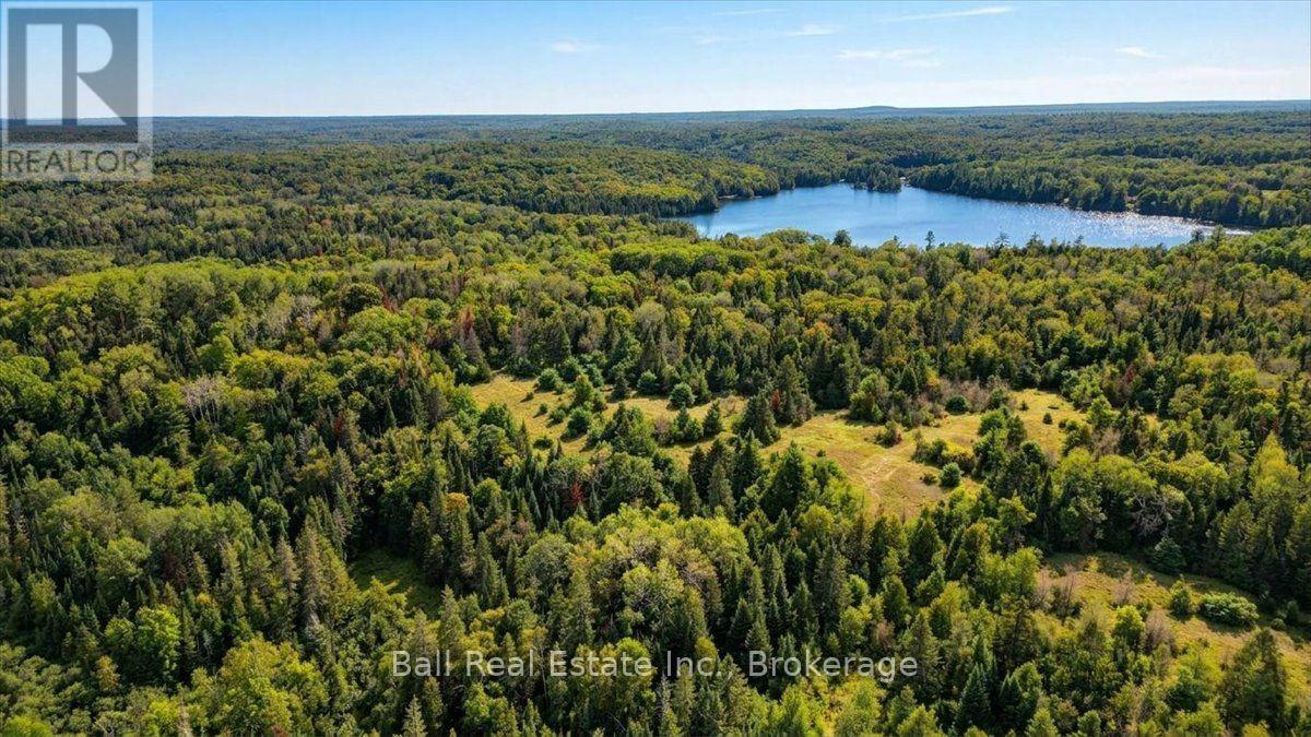 0 Clydesdale Road, North Kawartha, Ontario  K0L 1A0 - Photo 6 - X13609796