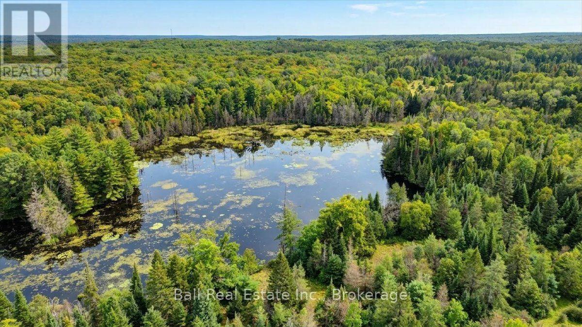 0 Clydesdale Road, North Kawartha, Ontario  K0L 1A0 - Photo 8 - X13609796