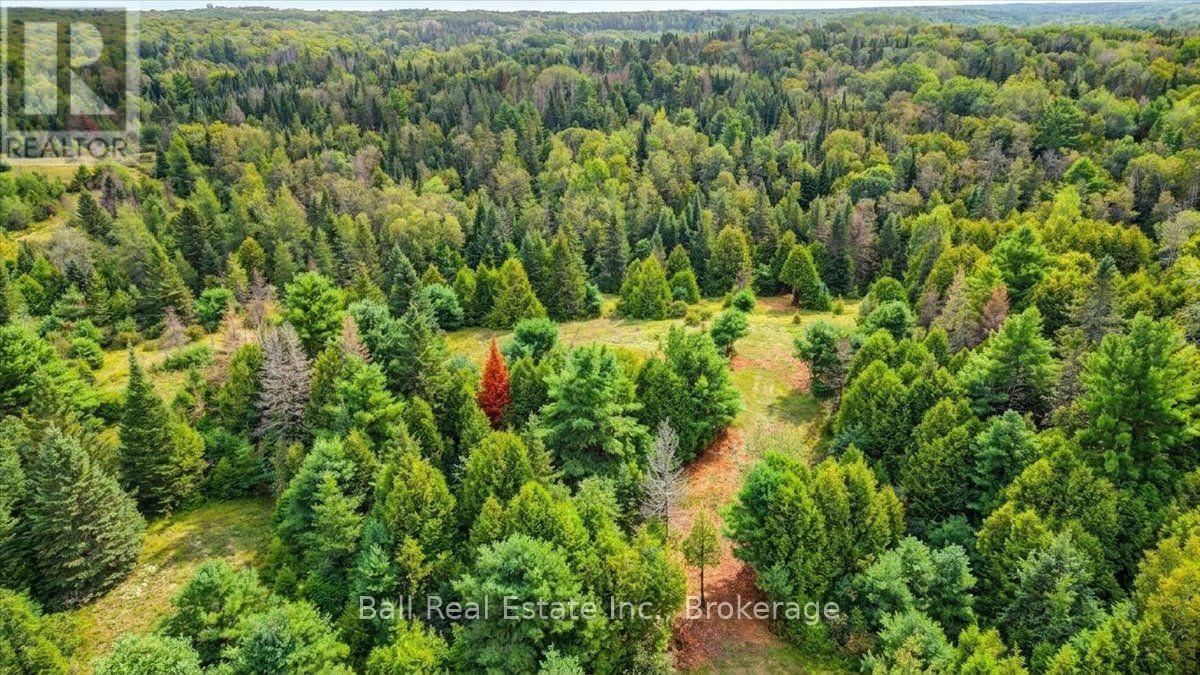 0 Clydesdale Road, North Kawartha, Ontario  K0L 1A0 - Photo 32 - X13609796