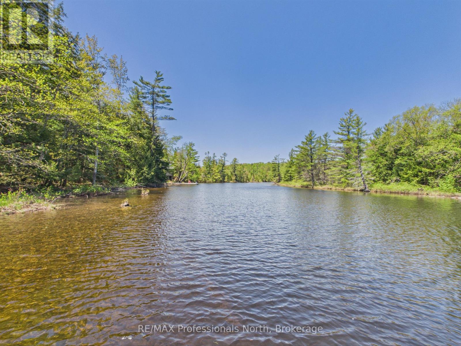 1215 118 Highway E, Bracebridge, Ontario  P1L 0K3 - Photo 3 - X13755066