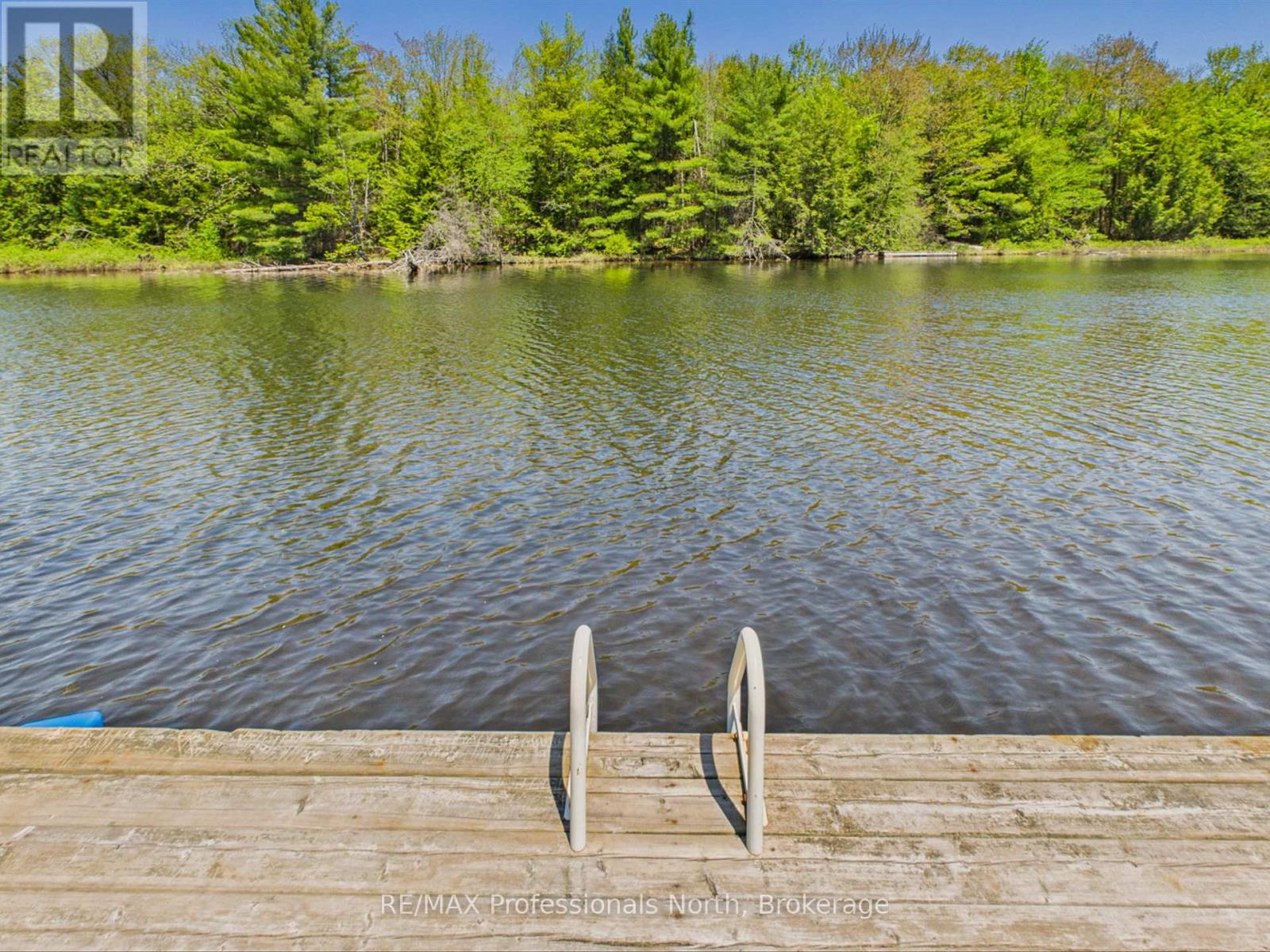 1215 118 Highway E, Bracebridge, Ontario  P1L 0K3 - Photo 4 - X13755066