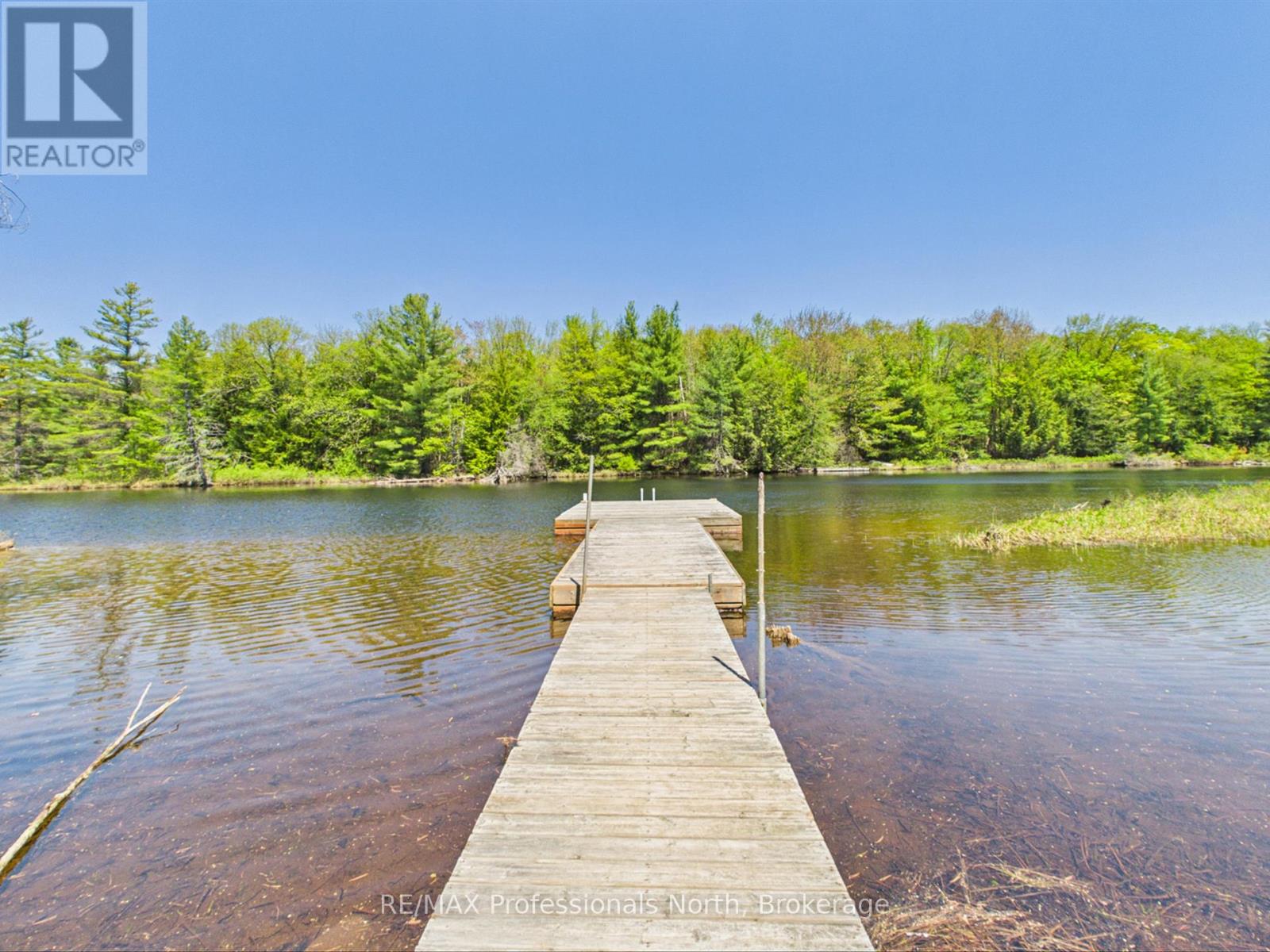 1215 118 Highway E, Bracebridge, Ontario  P1L 0K3 - Photo 5 - X13755066