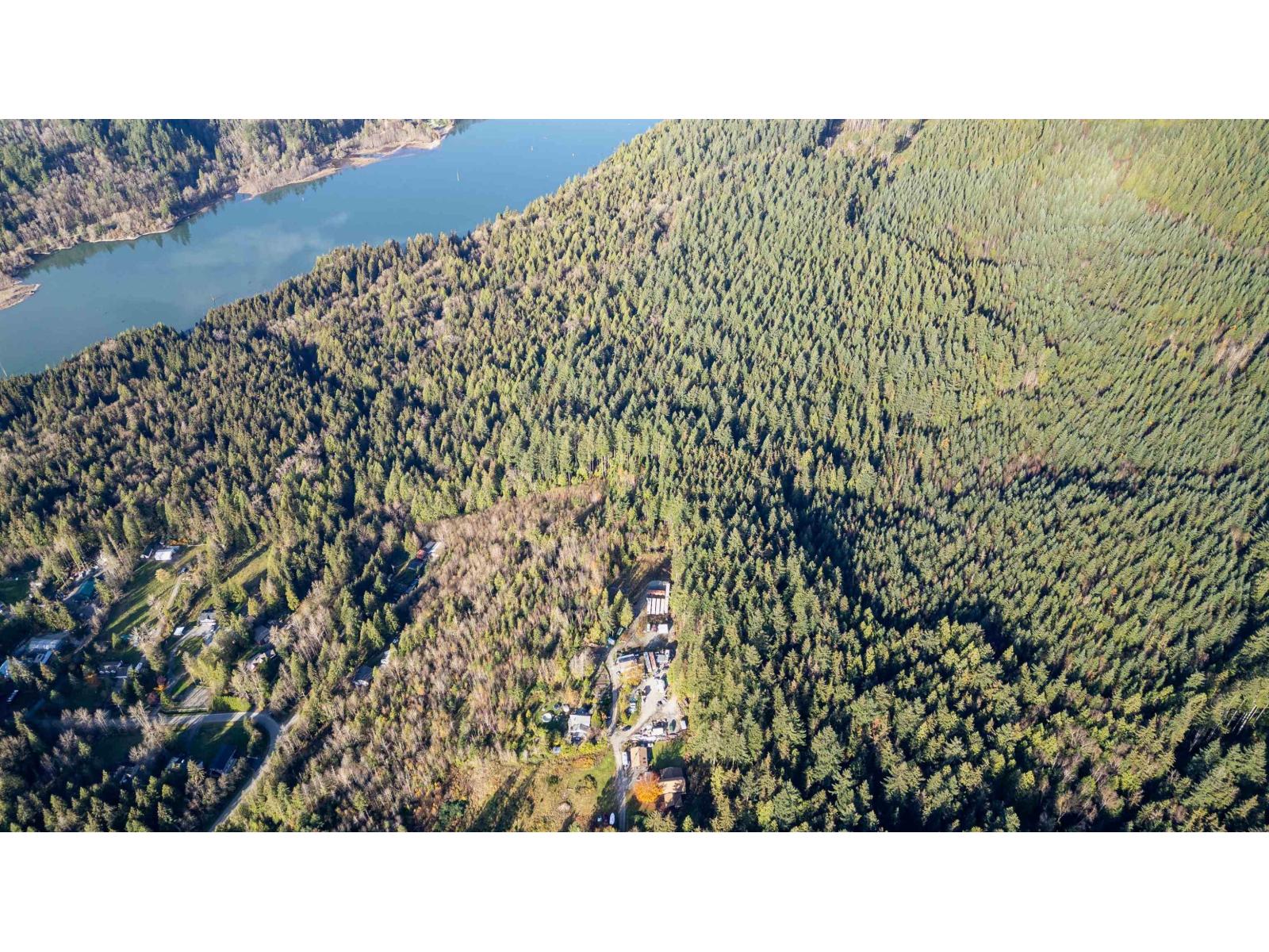 11082 Greenwood Drive, Mission, British Columbia  V4S 1A9 - Photo 3 - R3012251