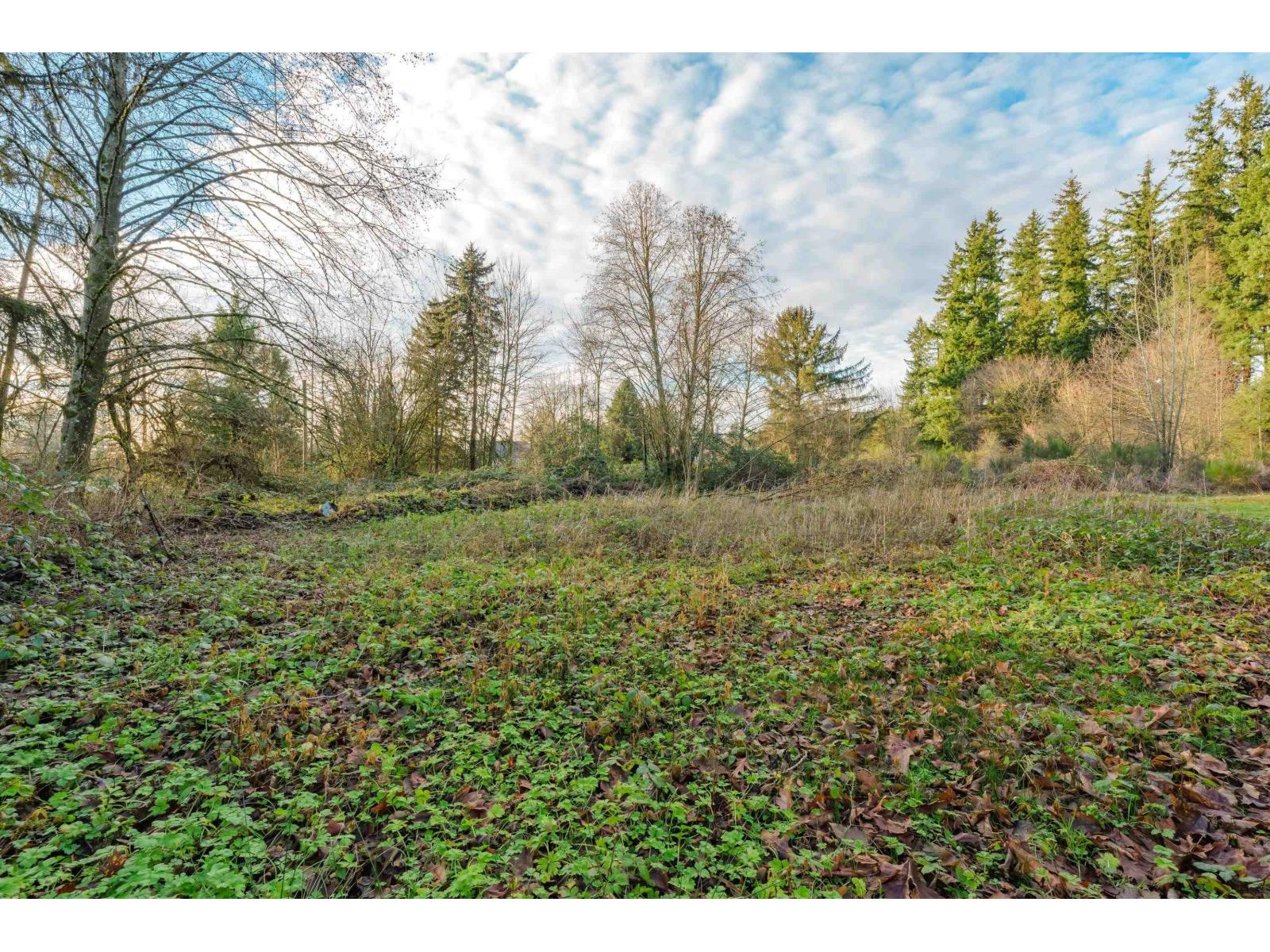 18701 88 Avenue, Surrey, British Columbia  V4N 5T1 - Photo 40 - R3161145