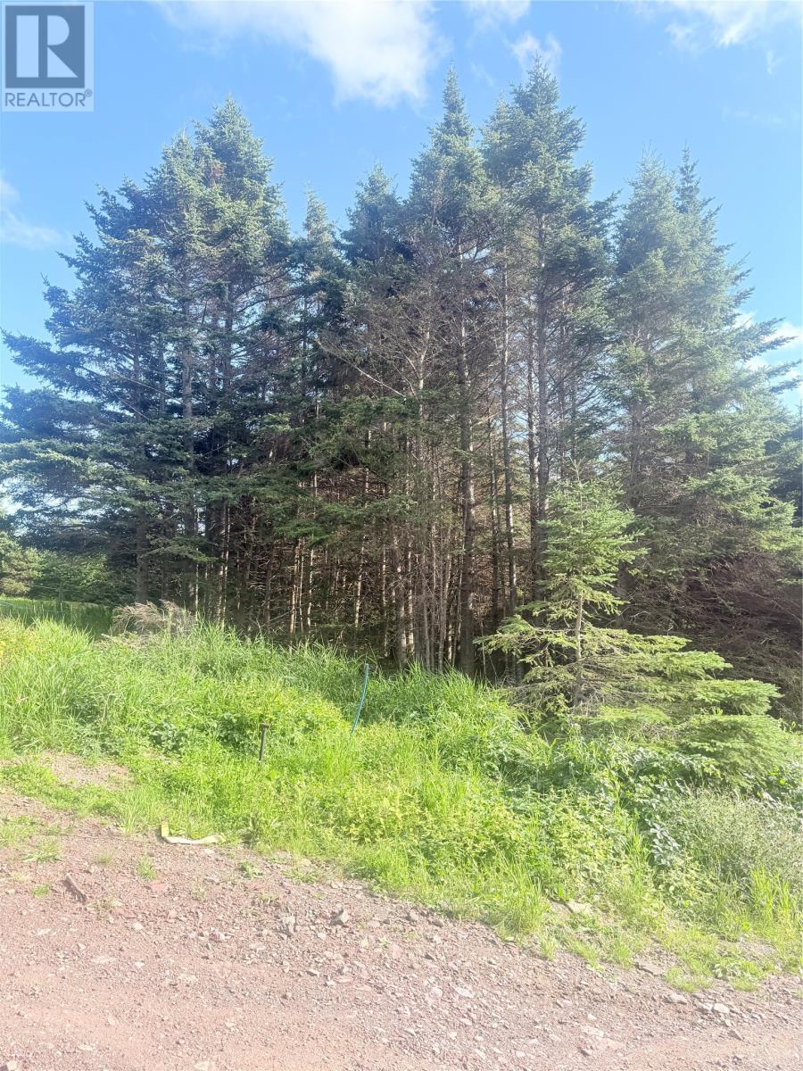 6A Big Pond Access Road, Burin