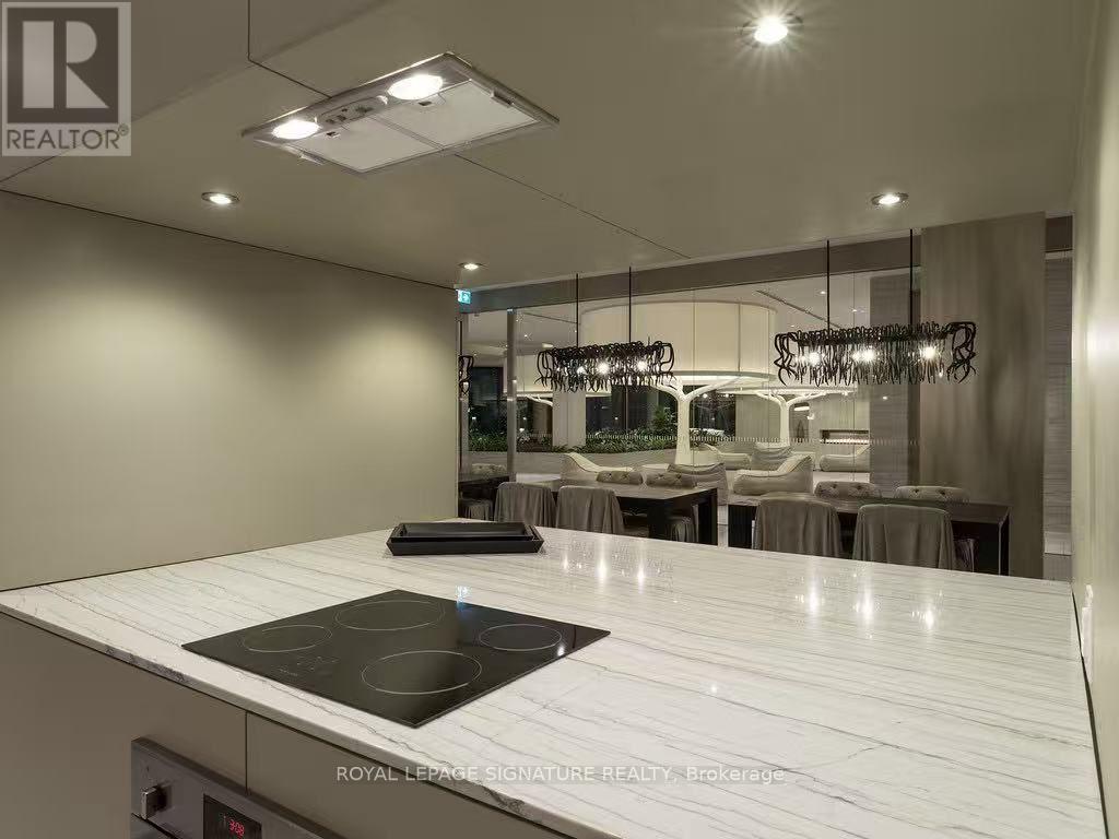 1710 - 88 Harbour Street, Toronto, Ontario  M5J 0C3 - Photo 41 - C13755680