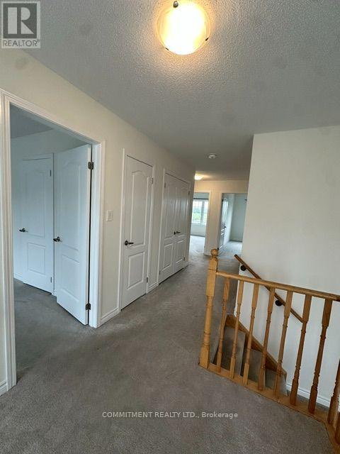14 Shapira Avenue, Wasaga Beach, Ontario L9Z 0K2 - Photo 25 - S13755714