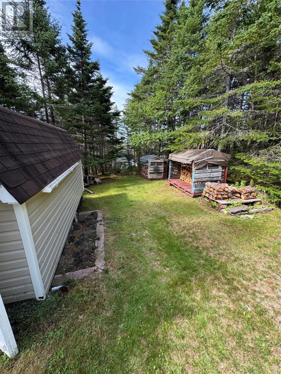 0 Twin Gullies Pond, Brigus Junction — photo 18