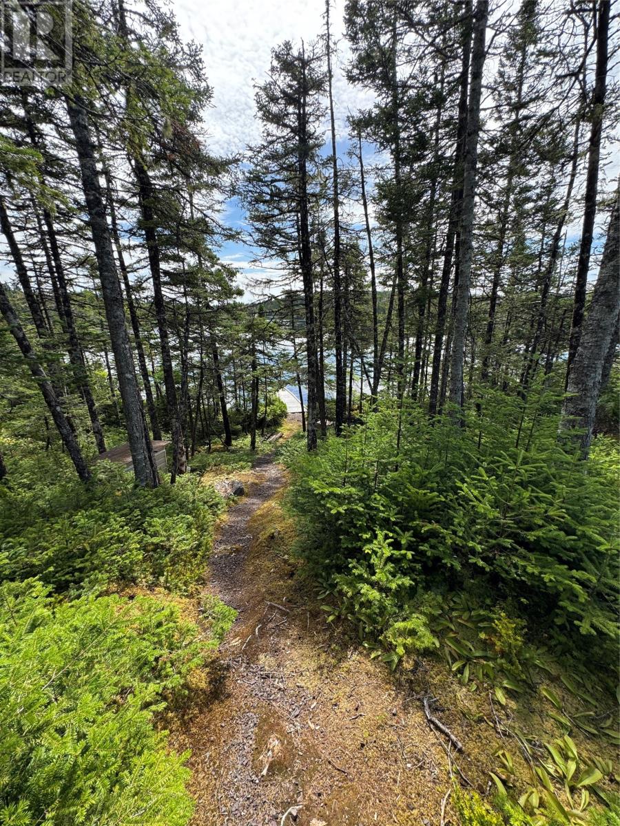 0 Twin Gullies Pond, Brigus Junction — photo 20