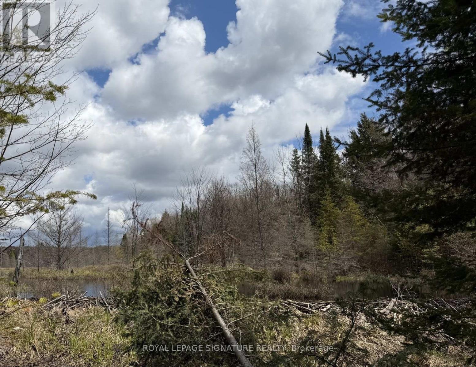 1170 Peter Road, Bracebridge, Ontario  P1L 1X3 - Photo 23 - X13158144