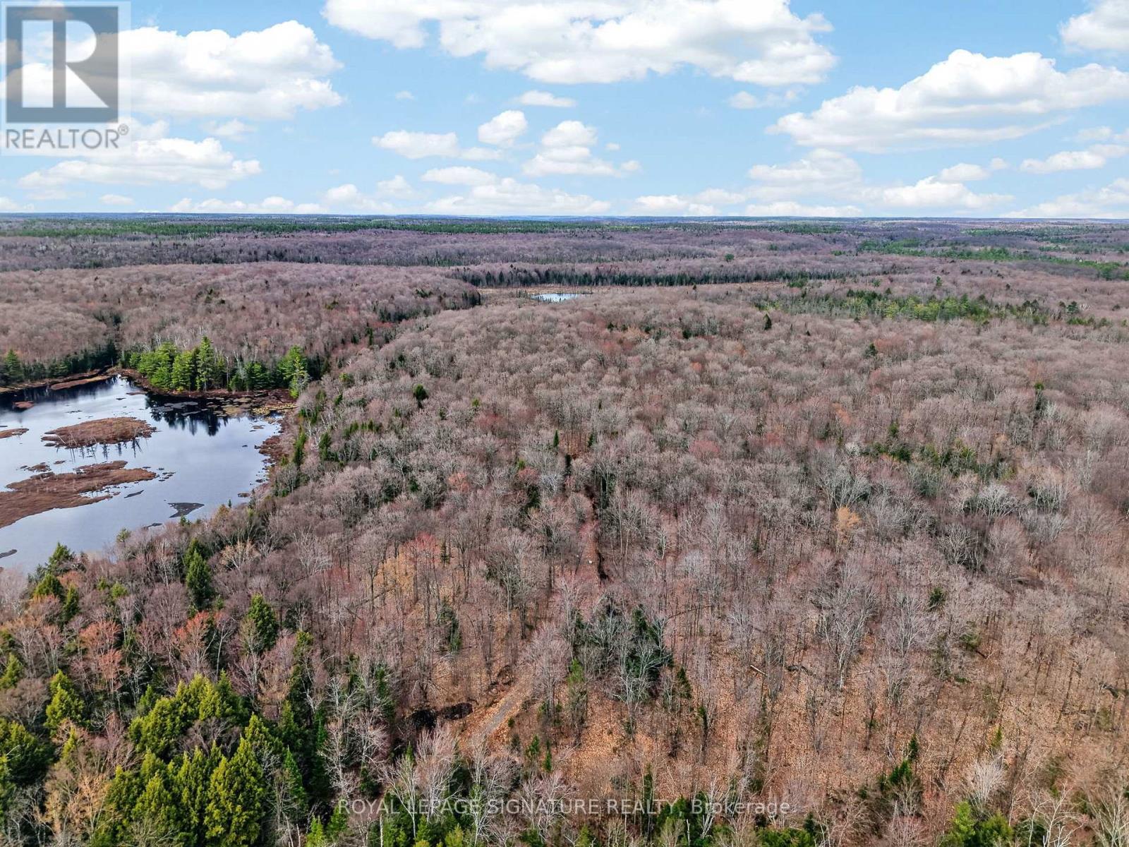 1170 Peter Road, Bracebridge, Ontario  P1L 1X3 - Photo 27 - X13158144