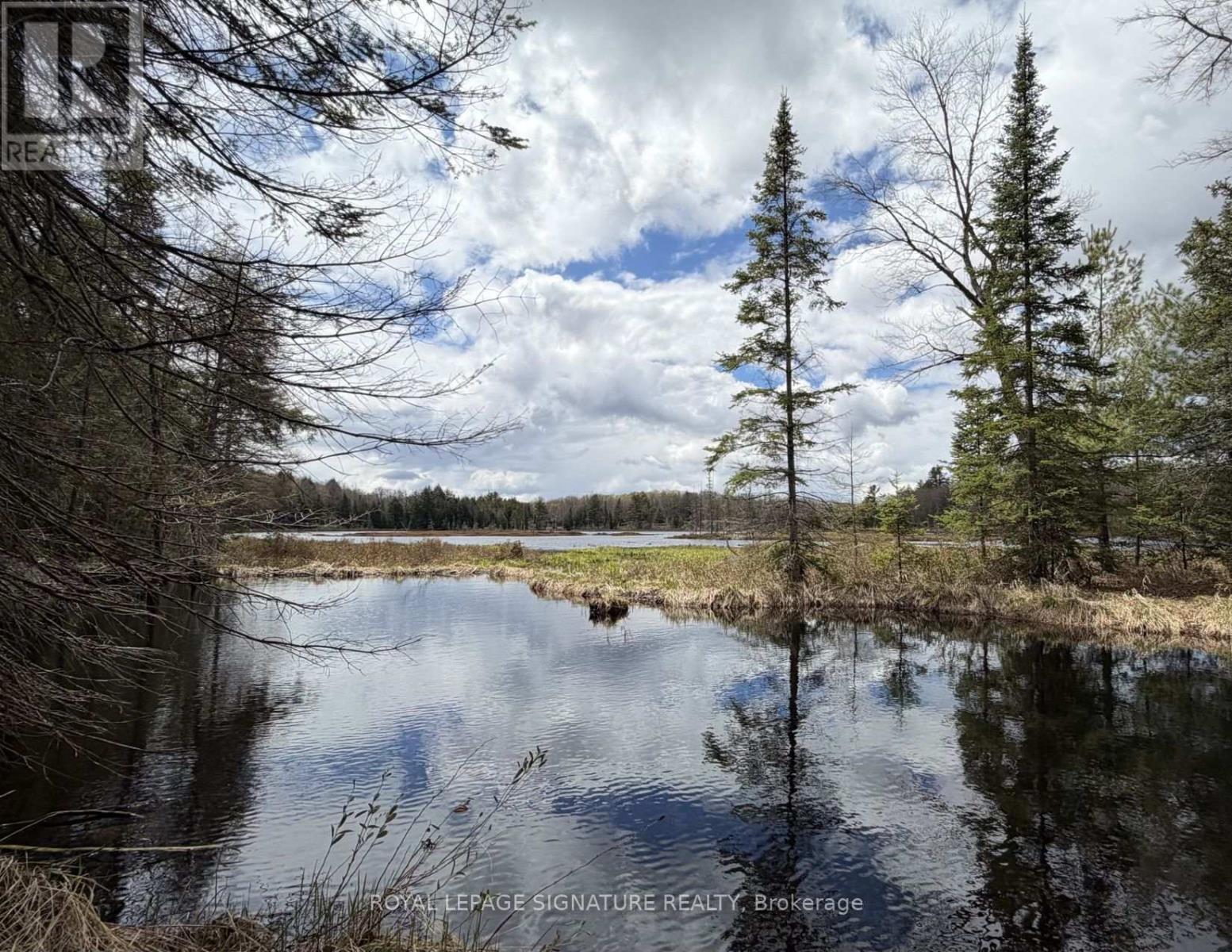 1170 Peter Road, Bracebridge, Ontario  P1L 1X3 - Photo 2 - X13158144