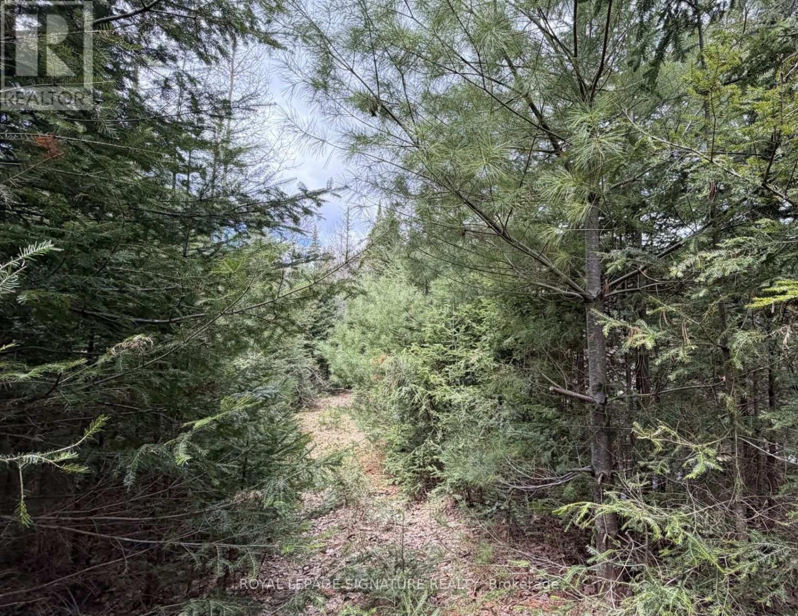 1170 Peter Road, Bracebridge, Ontario  P1L 1X3 - Photo 16 - X13158144