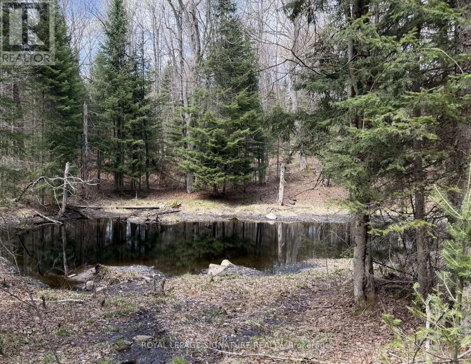 1170 Peter Road, Bracebridge, Ontario  P1L 1X3 - Photo 6 - X13158144