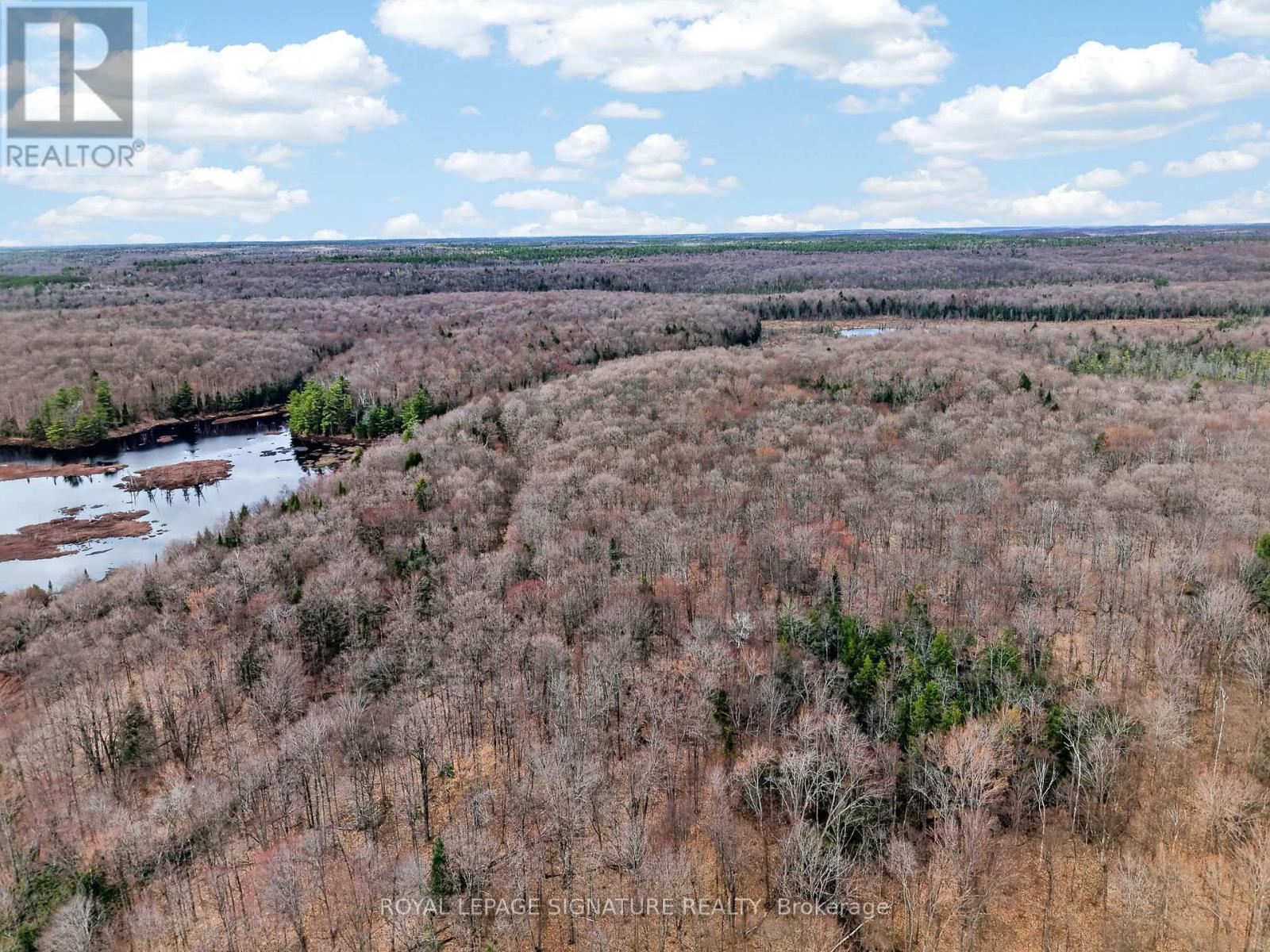 1170 Peter Road, Bracebridge, Ontario  P1L 1X3 - Photo 30 - X13158144