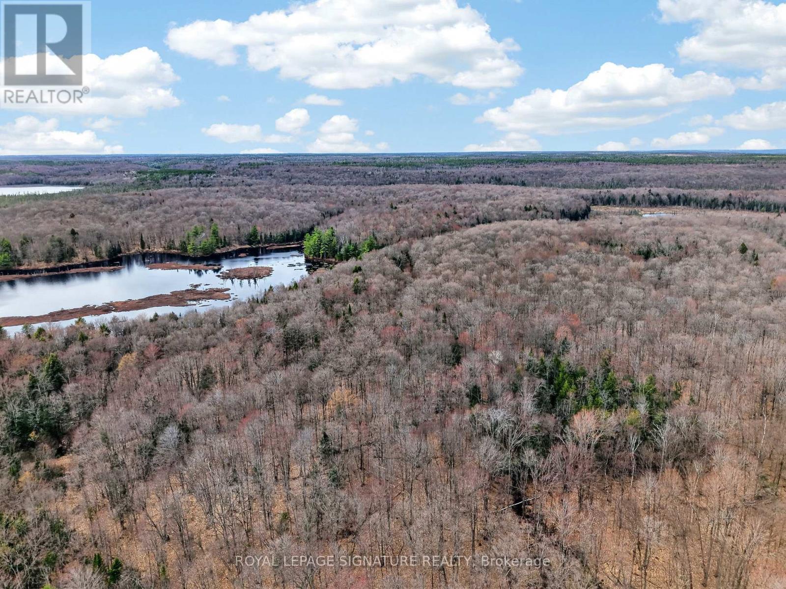 1170 Peter Road, Bracebridge, Ontario  P1L 1X3 - Photo 28 - X13158144