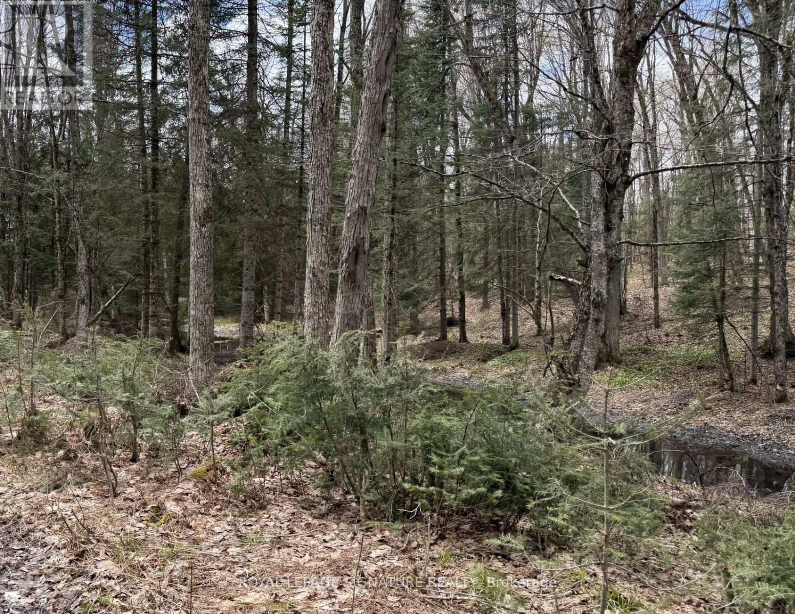 1170 Peter Road, Bracebridge, Ontario  P1L 1X3 - Photo 20 - X13158144