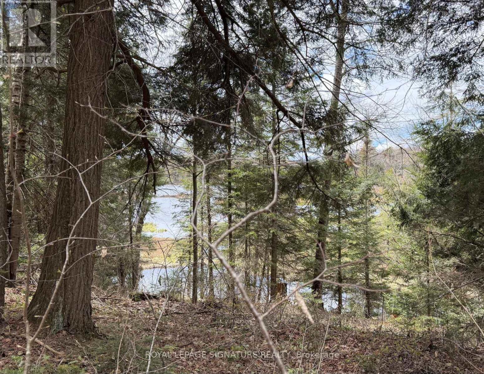 1170 Peter Road, Bracebridge, Ontario  P1L 1X3 - Photo 24 - X13158144