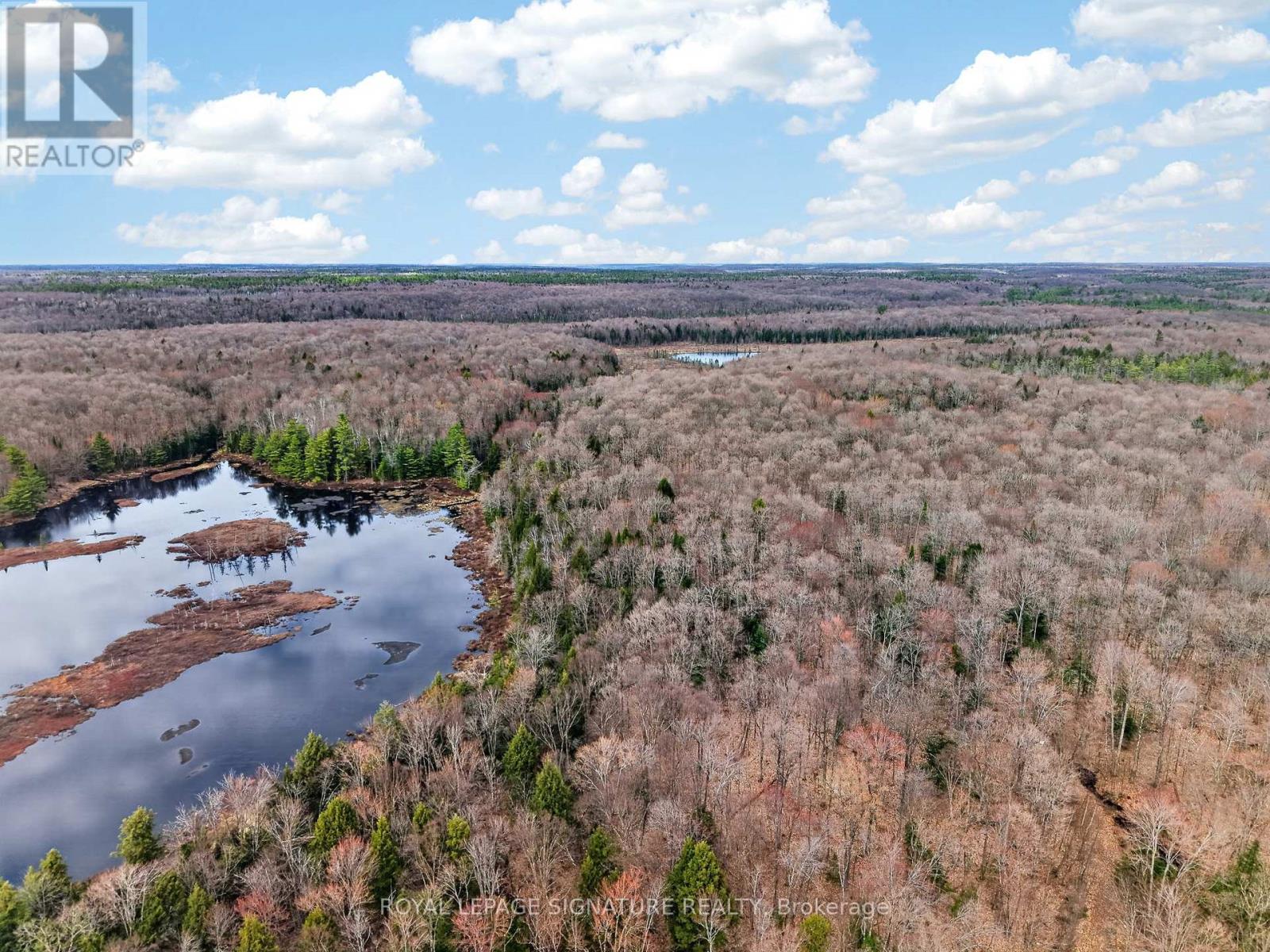 1170 Peter Road, Bracebridge, Ontario  P1L 1X3 - Photo 31 - X13158144