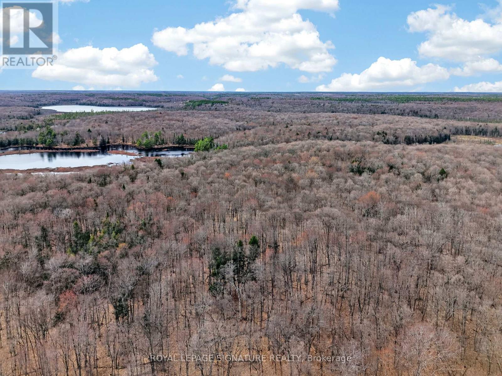 1170 Peter Road, Bracebridge, Ontario  P1L 1X3 - Photo 29 - X13158144