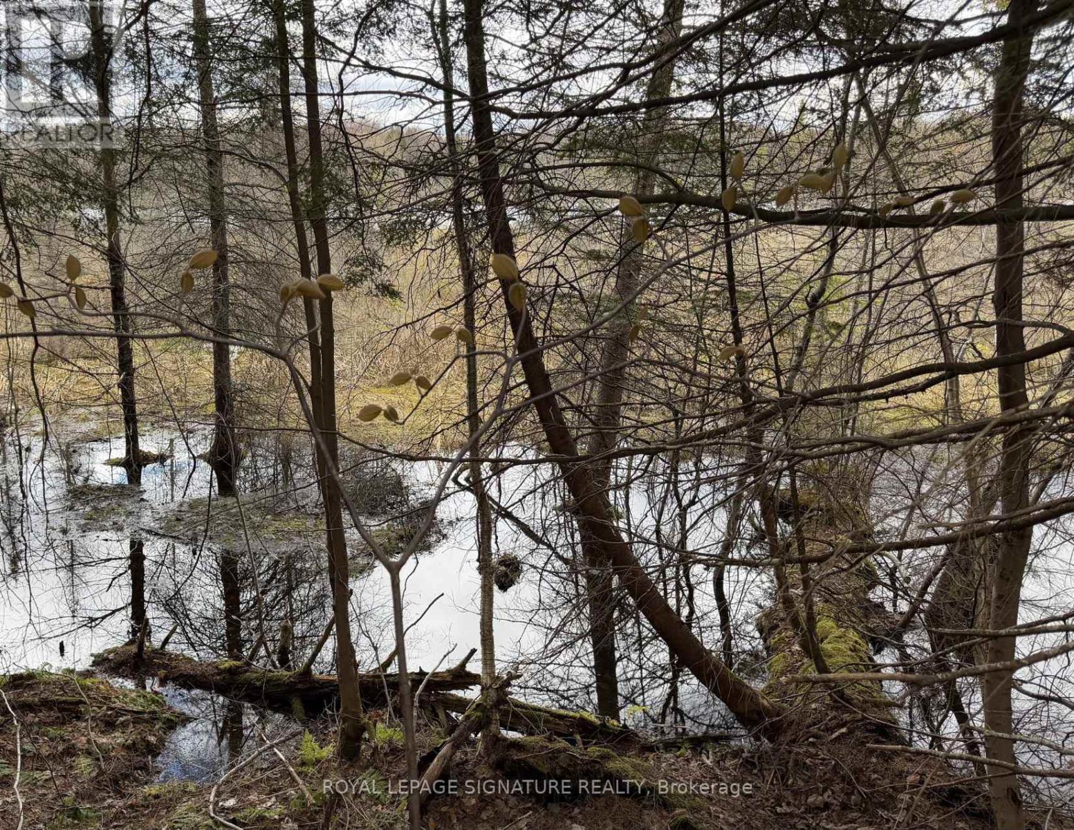 1170 Peter Road, Bracebridge, Ontario  P1L 1X3 - Photo 21 - X13158144
