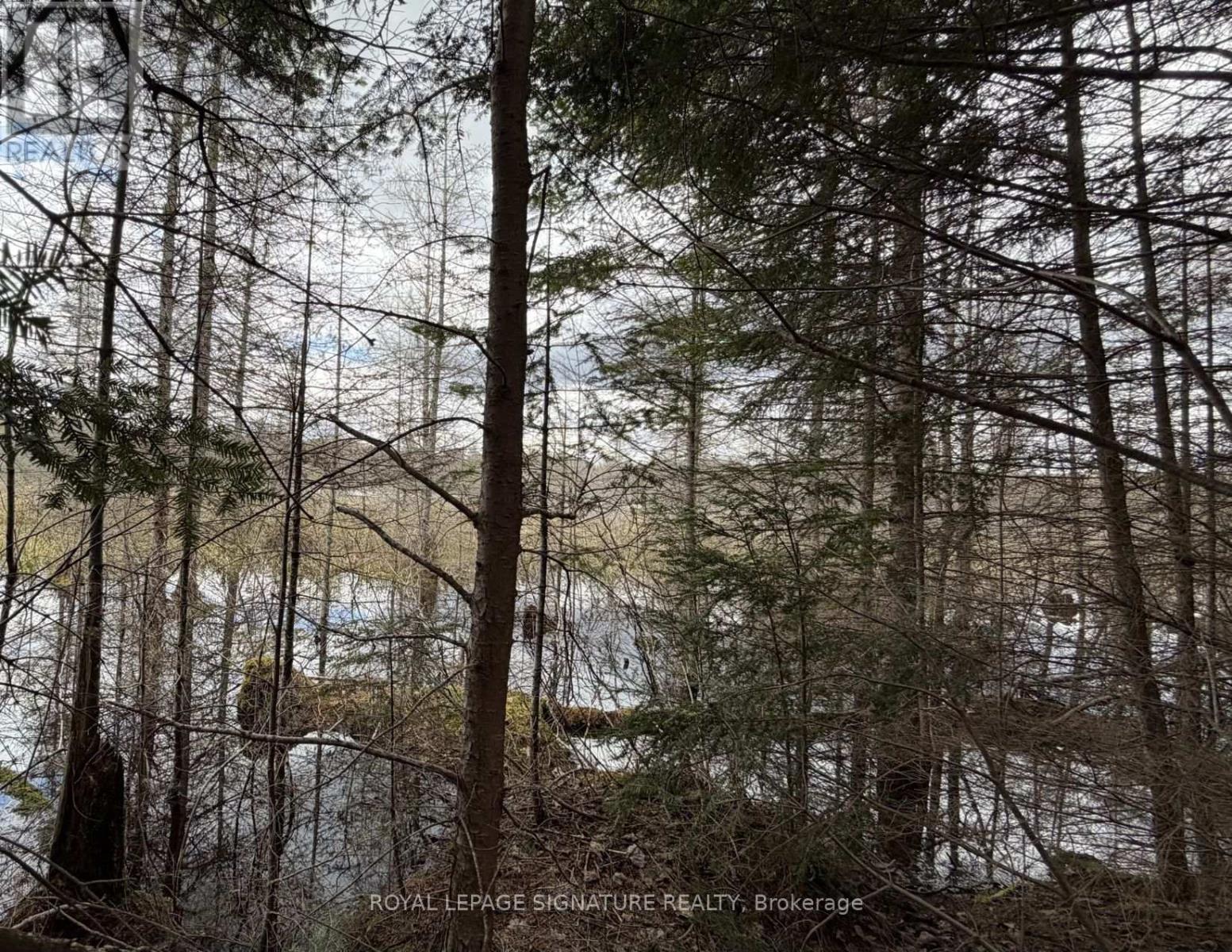 1170 Peter Road, Bracebridge, Ontario  P1L 1X3 - Photo 18 - X13158144