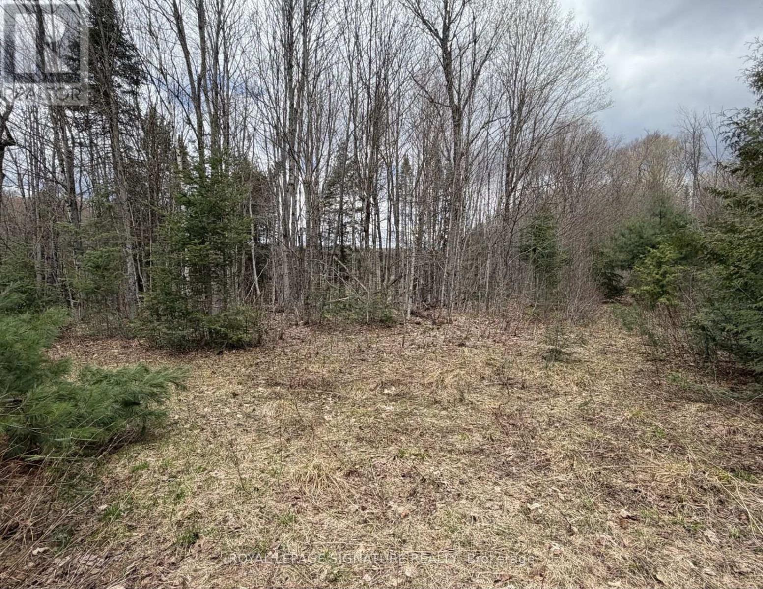 1170 Peter Road, Bracebridge, Ontario  P1L 1X3 - Photo 25 - X13158144