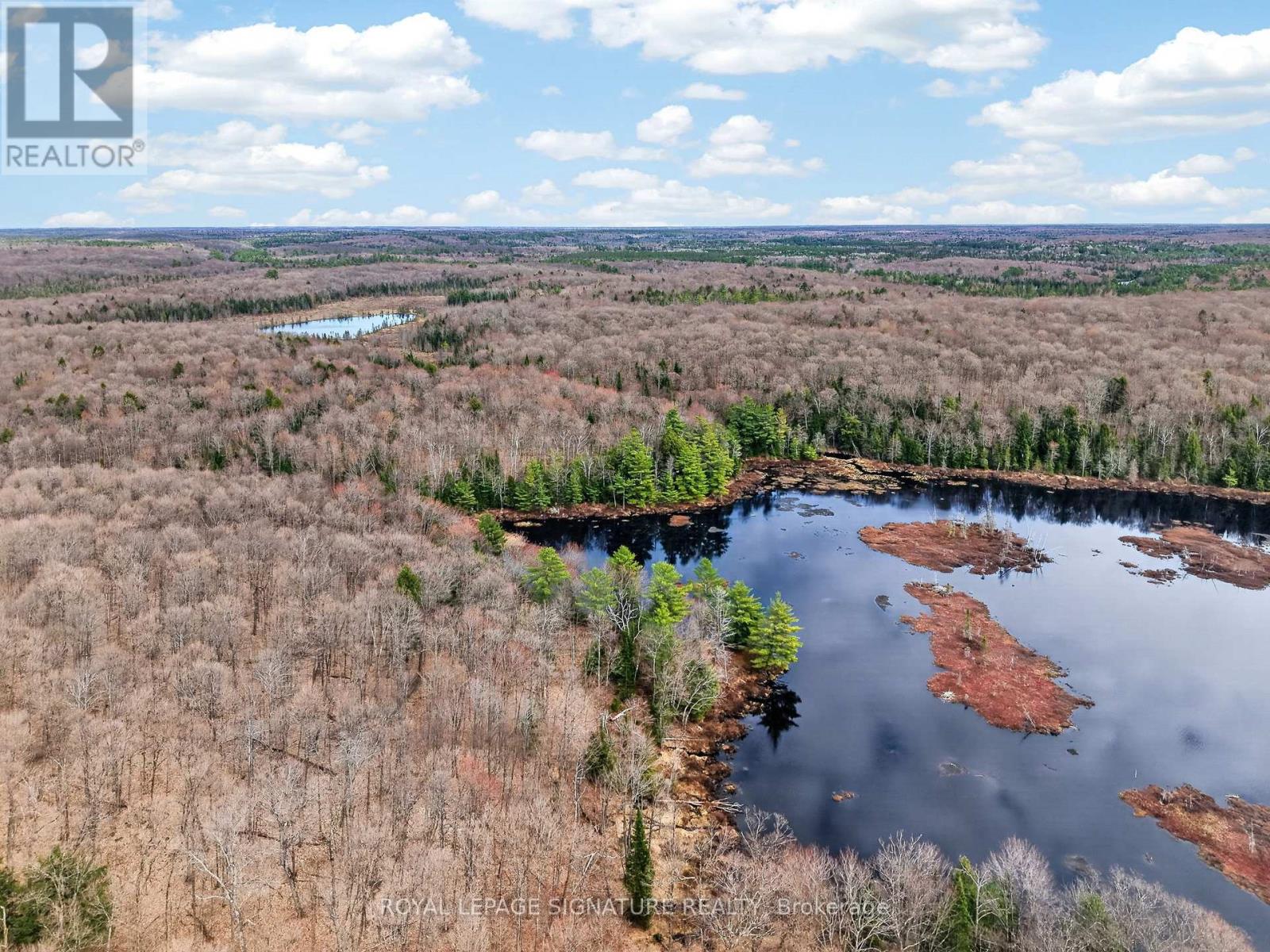 1170 Peter Road, Bracebridge, Ontario  P1L 1X3 - Photo 4 - X13158144