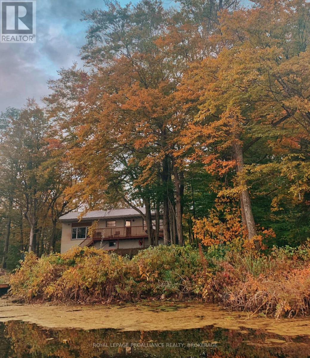 4781 Wilmer Road, South Frontenac, Ontario  K0H 2L0 - Photo 44 - X13755994