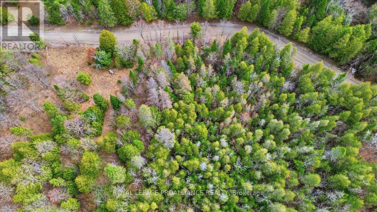 1860 North Road, Frontenac, Ontario  K0H 2M0 - Photo 10 - X13756074