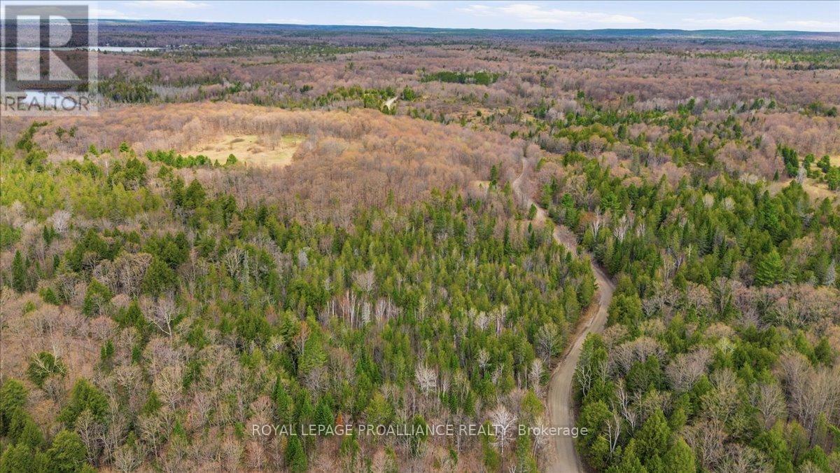 1860 North Road, Frontenac, Ontario  K0H 2M0 - Photo 12 - X13756074