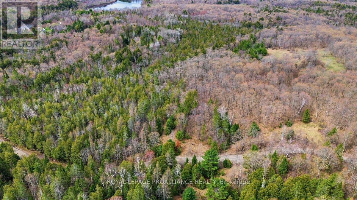 1860 North Road, Frontenac, Ontario  K0H 2M0 - Photo 14 - X13756074