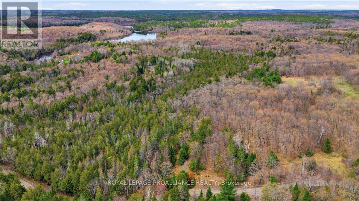1860 North Road, Frontenac, Ontario  K0H 2M0 - Photo 16 - X13756074