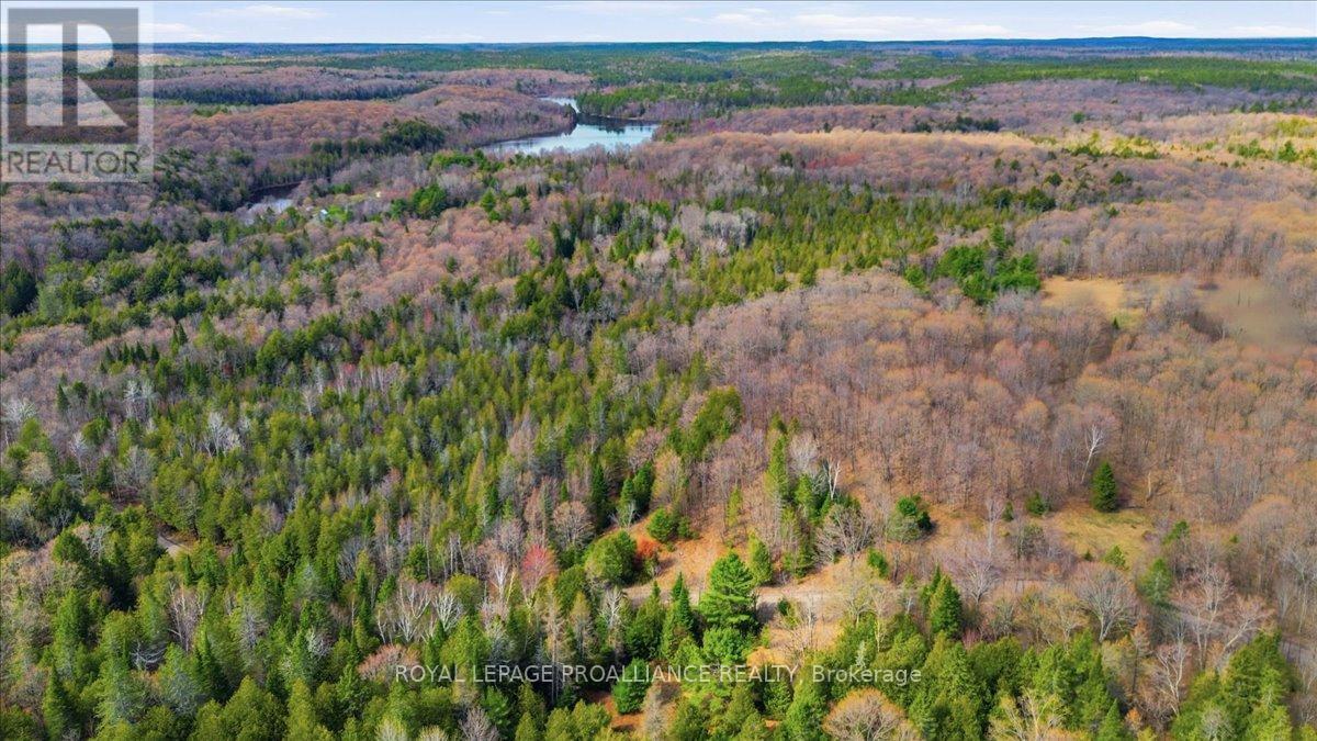 1860 North Road, Frontenac, Ontario  K0H 2M0 - Photo 4 - X13756074