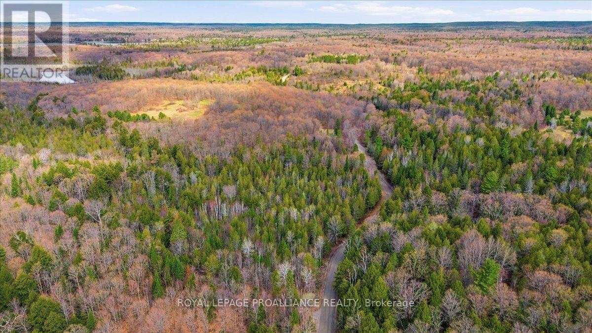 1860 North Road, Frontenac, Ontario  K0H 2M0 - Photo 5 - X13756074