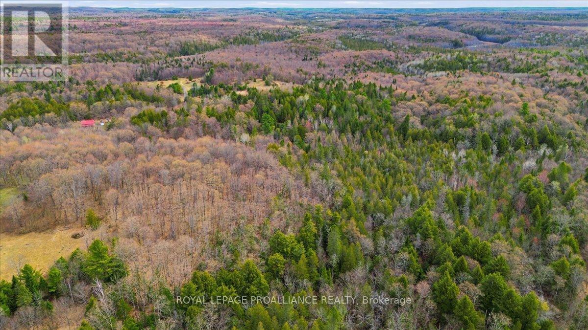 1860 North Road, Frontenac, Ontario  K0H 2M0 - Photo 9 - X13756074