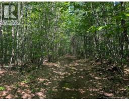 Recreational Lot 2 Green Road, Elgin, New Brunswick